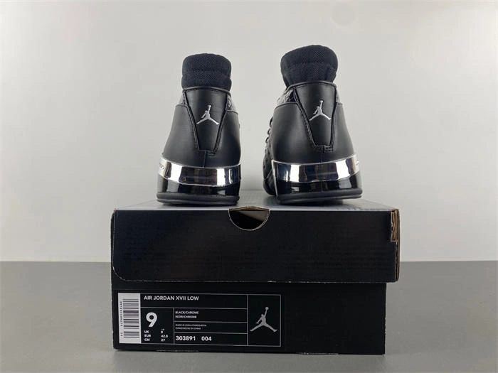Air Jordan 17 OG 303891- Minimalist 4192