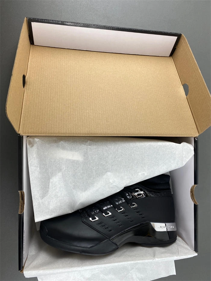 Air Jordan 17 OG 303891- Minimalist 4192